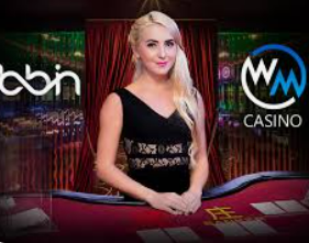 威廉体育正式版